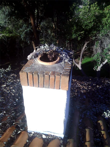 Chimney with Leaf Blockage from Tree Trimmers